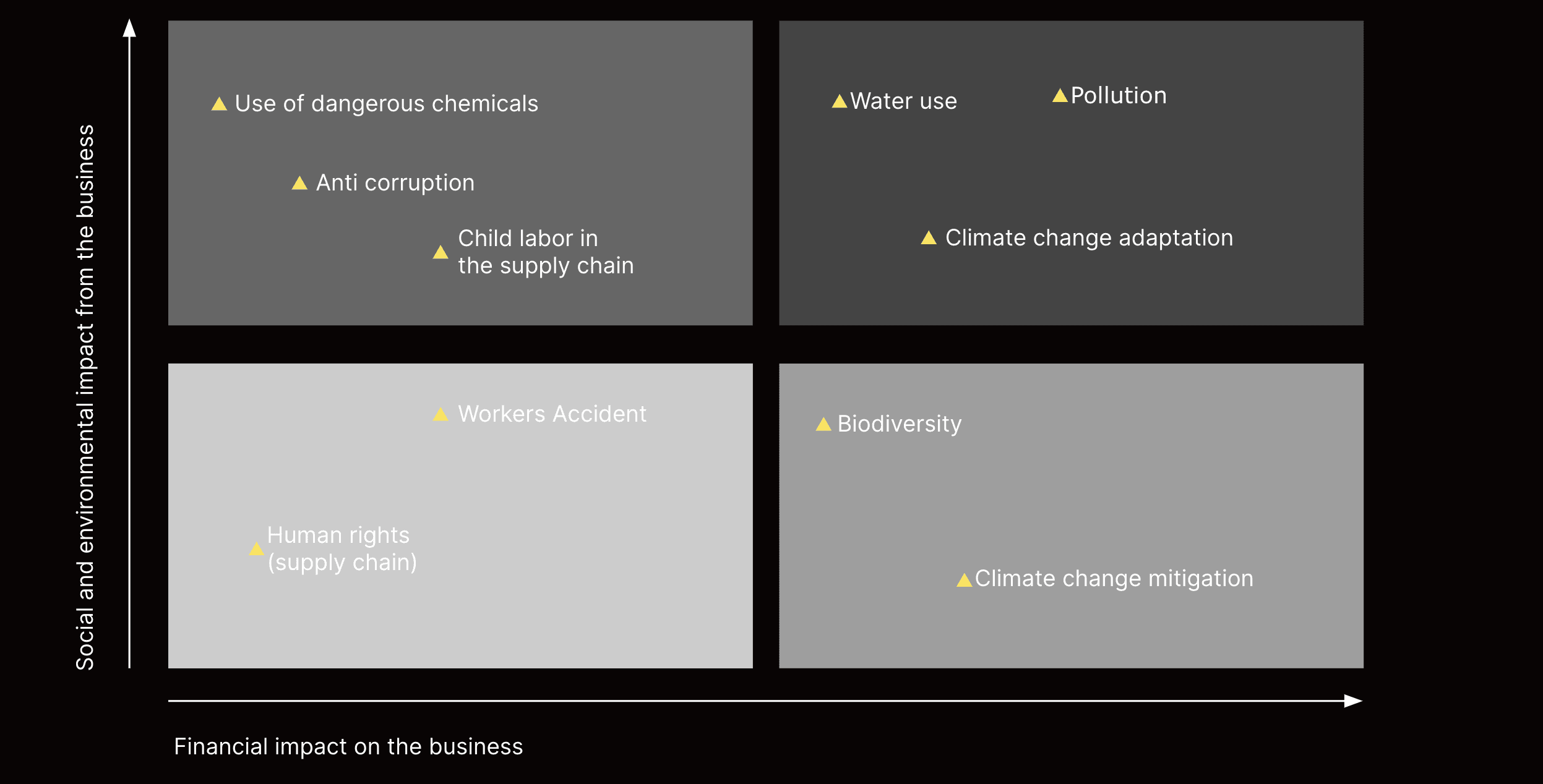 Example of a double materiality assessment